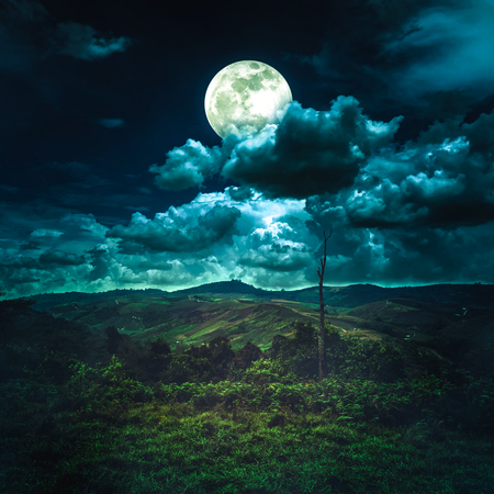 Beautiful mountain landscape covered with green tree forest, amazing nature. Night sky with full moon behind partial cloudy above mountain range. Serenity background. The moon taken with my camera.の写真素材