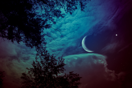 Attractive crescent moon with star on colorful sky above silhouettes of trees. Serenity nature background. Ramadan Kareem celebration. The moon taken with my camera.の写真素材