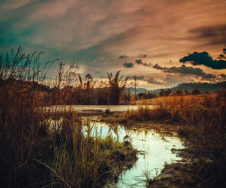 Fantastic landscape of orange sky with sunlight above lake in the forest.The foreground is a small...