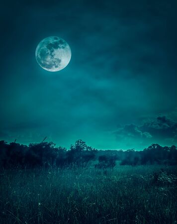 Landscape of dark night sky with clouds. Beautiful bright full moon above wilderness area in forest, serenity nature background. Outdoors at nighttime. The moon taken with my own camera.の写真素材
