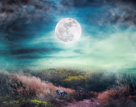 Landscape of night sky with clouds. Beautiful bright full moon above wilderness area in forest. Country road through fields of the countryside at nighttime. Serenity nature background.の写真素材