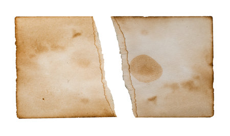Vintage background with ripped old paper isolated on white background.の写真素材