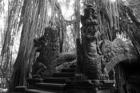 Bali Monkey forest dragons
