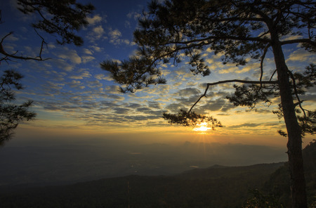 Sunrise at cliff, with silhouettes of tree at (Pha Nok Ann) Phukradung National Park, Thailand  (long exposure)の写真素材