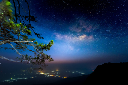 Milky Way over pine trees, Phu Kradueng National Park, Thailandの写真素材
