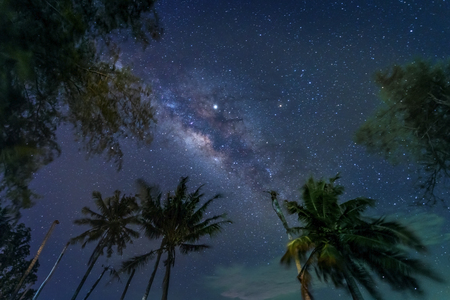 The Milky Way is above the coconut trees at night, Koh Mak, Trat, Thailandの写真素材