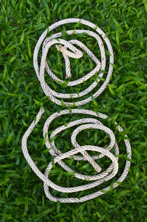 Manila rope coiled white face like a child placed on the grass.