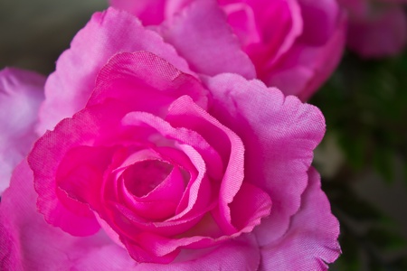 Pink artificial roses made ??of synthetic fiber.の写真素材