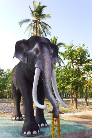 Thai elephant statue standing in front of the coconut の写真素材