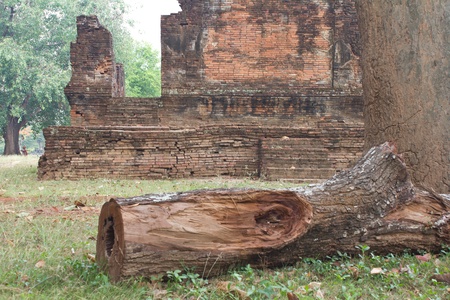 Ruins of the Buddhist church, the remains of a tree stump in the foreground の写真素材