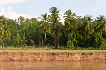 Forest River field, located off the coast that were eroded soil erosion の写真素材
