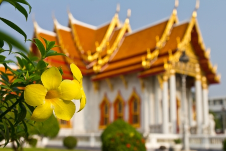 Yellow flower with blurred Buddhist Church as a backdrop の写真素材