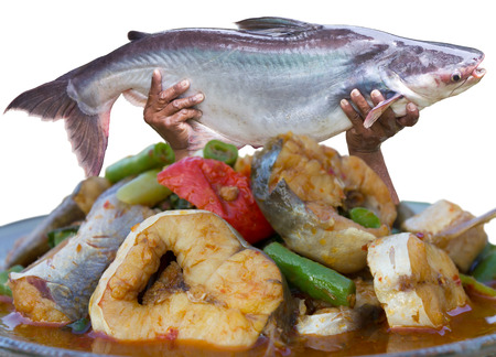 Close up delicious fish curry with hands raised stripped catfish are still alive.の写真素材