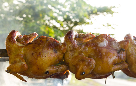 Detailed below, close-up pictures of chicken rotary grill on charcoal.