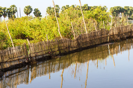 Waterproof to a long row of bamboo fish trap region wise Thailand.の写真素材