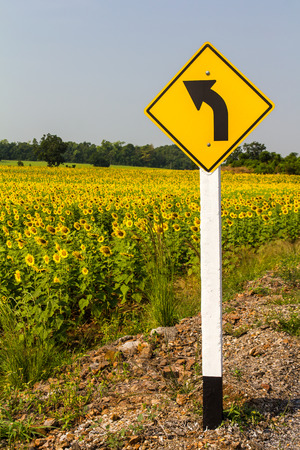 Signs, turn left and sunflower farm in a rural area of Thailand.の写真素材