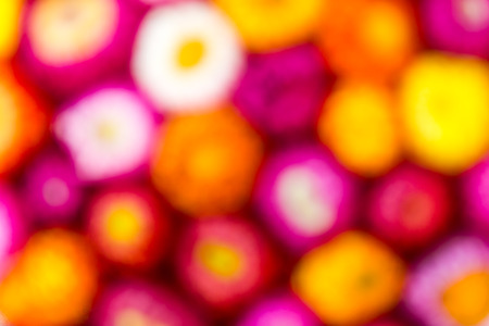 Everlasting background blur of bright colors such as pink, red, yellow and white.の写真素材
