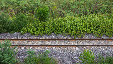 View above the railroad tracks with grass growing on the side.の写真素材