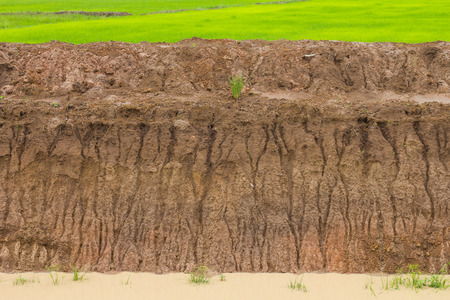 Mound soil slides coastal canal water due to rains, which was the scene of green paddy fields.の写真素材