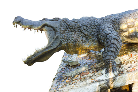 Isolated close-side statue crocodile which was agape with awe on the stone.の写真素材