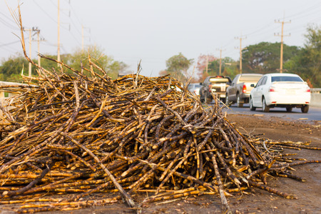 Scrap heap cane blocking traffic on the road, which has blockaded the car sailed carefully.の写真素材