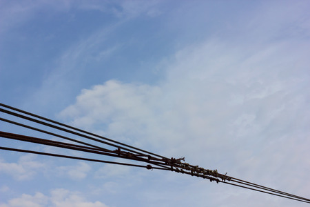 Close up of wire rope which binds together to bridge fixation with a sky scene.
