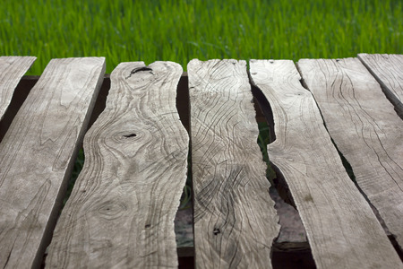 Background Close porch of an old wooden board with rice and green leaves blurred background.の写真素材
