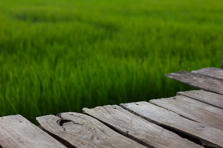Background Close porch of an old wooden board with rice and green leaves blurred background.の写真素材