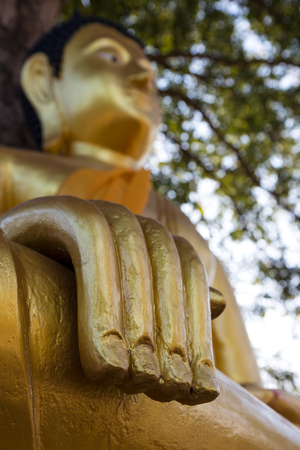 Close up view of the low hand a golden Buddha sitting meditation place under a tree in a monastery.の写真素材