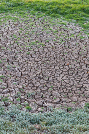 Background scenery above the ground, which cracked with grass growing green cover.の写真素材