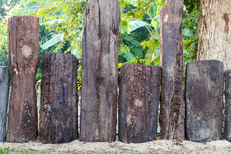Close-pillars old moldering stump and to install an uneven line in the sand for gardening.の写真素材