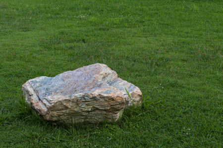 Close-up view of a large gray stone in a garden placed on a green lawn with growing weeds.の写真素材