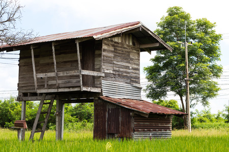 Close-up view of cottage or old zinc roofed house on rice field, which is often seen in Thai countryside.の写真素材