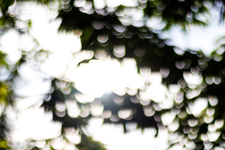 Abstract background, blurred bokeh, round, natural light, beautiful green foliageの写真素材