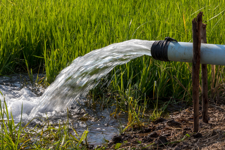 Close-up of the stream flowing rapidly out of the plastic pipe into the rice field near the grass mound.の写真素材