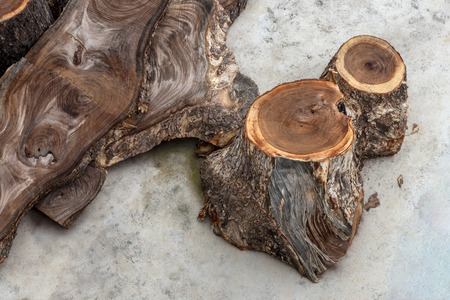 View from the top of the logs, many rainforest trees, which are cut into deforestation, laid on the concrete floor.の写真素材