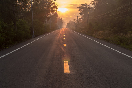 Scenery of the paved road, sunrise in the morning with the trees along the road and roaming in the...