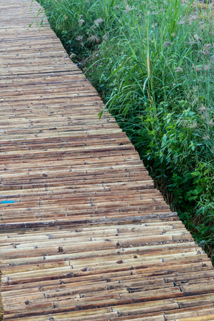 Top view background Close up bamboo bridge over a stretch of green grass weeds in the garden.の写真素材