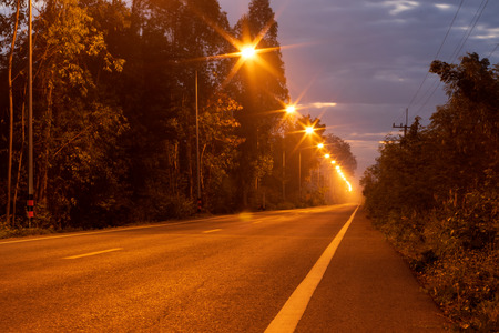 Low view, light from many lamps illuminated on rural roads, close to trees in the early morning hours of the Thai countryside.の写真素材