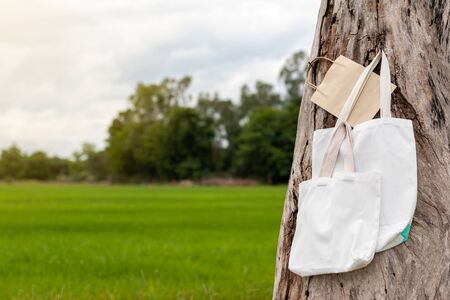 Close-up picture of a white cloth bag and paper hanging on a dead, strewn tree stump with green rice...