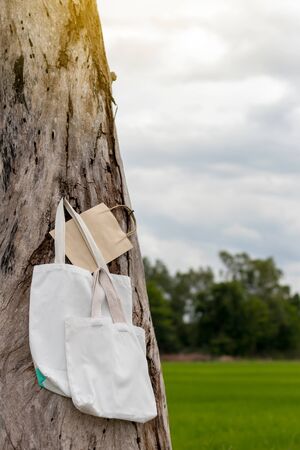 Close-up picture of a white cloth bag and paper hanging on a dead, strewn tree stump with green rice fields and cloudy blurred background.の写真素材