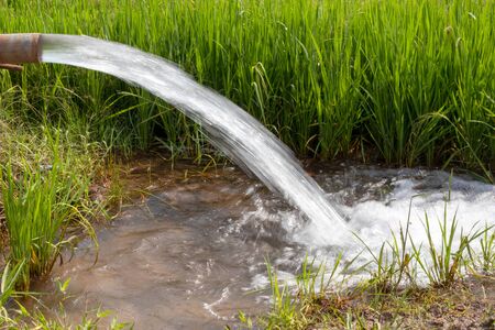 Water flows out of the old PVC pipes down to the ground in order to nourish rice seedlings to grow, waiting for harvest. Commonly seen in rural Thai agricultural areas.の写真素材