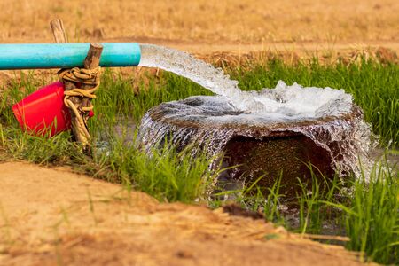 View of the water that flows out of the water pipe into a circular concrete basin located on the green rice field near the dry ground.の写真素材