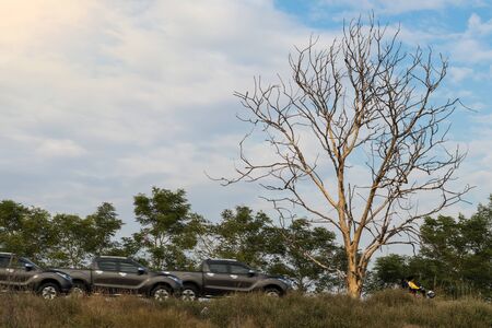 A car was sailing in multiple images on a country road with dead trees and shrubs.