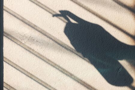 Sunlight reflecting silhouettes of bottles of alcohol gel hand on the concrete wall against sunlight window.の写真素材