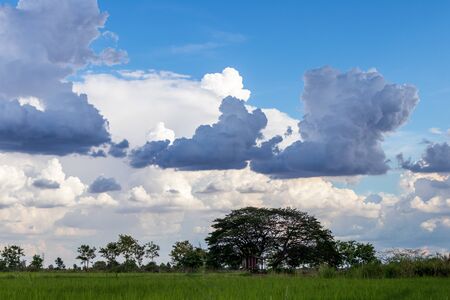 Cloudy scenery over the rice fields and trees in the Thai countryside during the day time.の写真素材