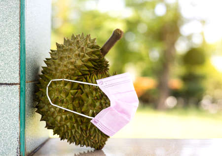 Close-up of a durian fruit wearing a pink face mask, leaning against a concrete column and blurred green leaves in the background.の写真素材