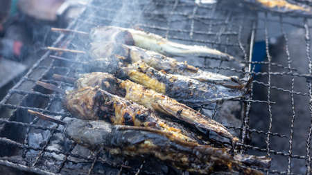 Close-up shot of smoky grilled catfish above an iron grill on a charcoal grill, commonly seen in rural Thai markets.の写真素材