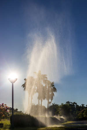 The view of the fountain blazing violently against the morning sun resting on lanterns with palm trees in a park in the Thai countryside.の写真素材