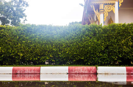 Low angle view against a backlit green wall of bushes against white and red concrete blocks on a road with Buddhist churches and trees in the background.の写真素材